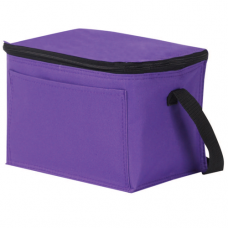 Non-woven Cooler Bag 