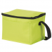 Non-woven Cooler Bag