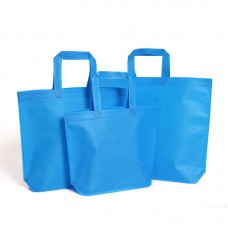 Heat Sealed Non-woven Bag 