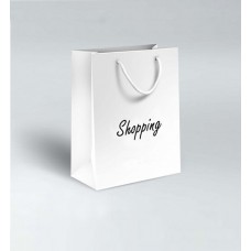 White Cardboard Paper Bag With Handle 