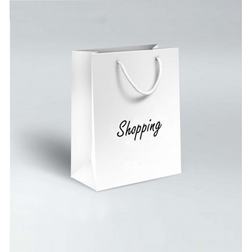White Cardboard Paper Bag With Handle