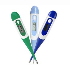 Digital Electronic Personal Thermometer  Digital Electronic Personal Thermometer