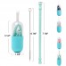 Silicone Drinking Straw Kit