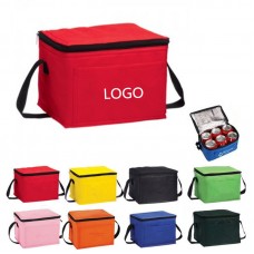 Non-woven Cooler Bag 