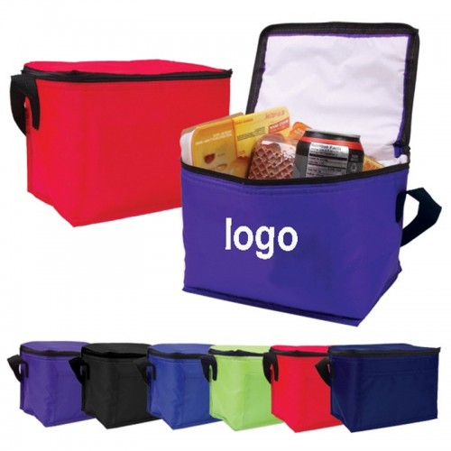 Large Zippered Insulated Picnic Cooler Bag