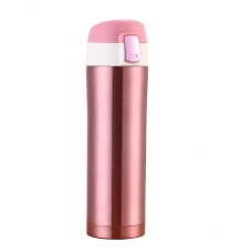 17 oz. Stainless Steel Insulated Bottle 