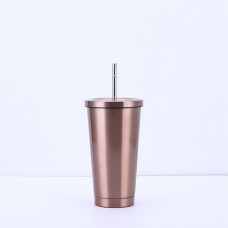 Stainless Steel Straws Car Mug Cup 